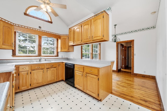 886 N Nixon Camp Rd, Turtle Creek Twp, OH 45054 - photo 13