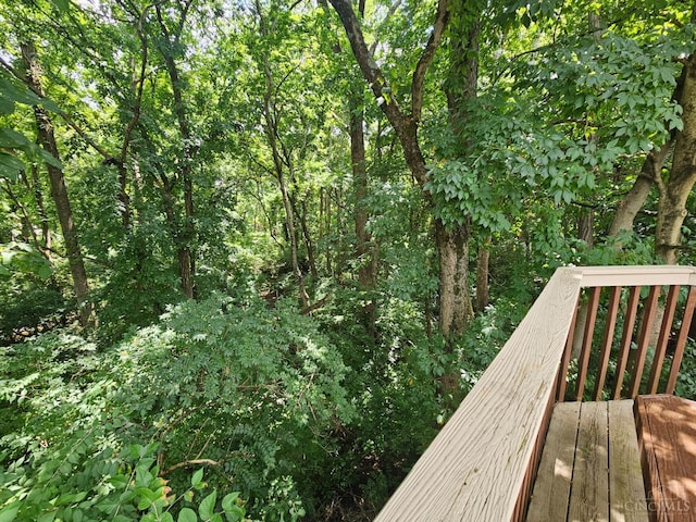 9 Suffolk Ct, Fairfield, OH 45014 - photo 38
