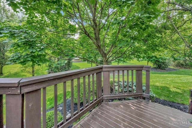 3793 Wild Cherry Way, Deerfield Twp, OH 45040 - photo 57