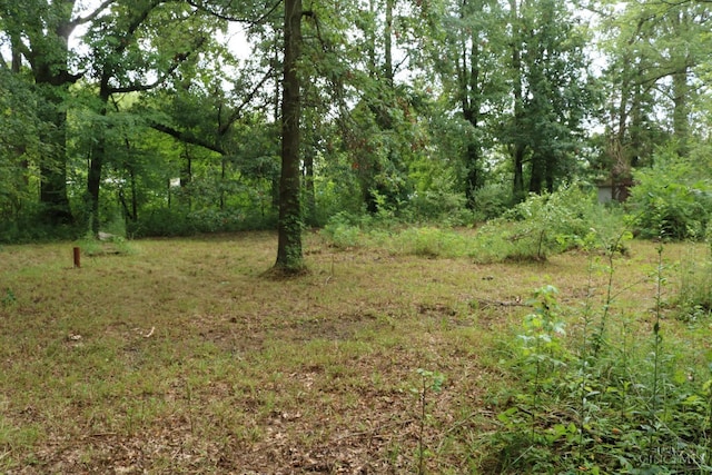 3270 State Route 131, Wayne Twp, OH 45122 - photo 6