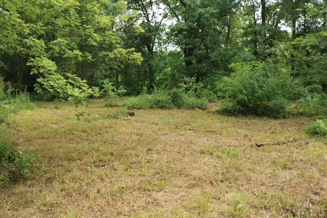 3270 State Route 131, Wayne Twp, OH 45122 - photo 5