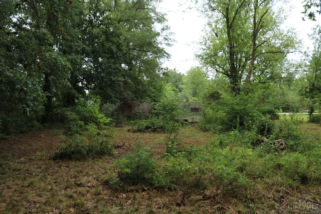 3270 State Route 131, Wayne Twp, OH 45122 - photo 8