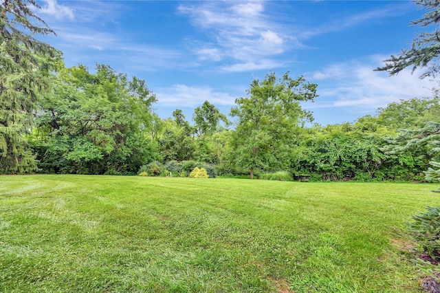 6124 Wilmer Rd, Cincinnati, OH 45247 - photo 56