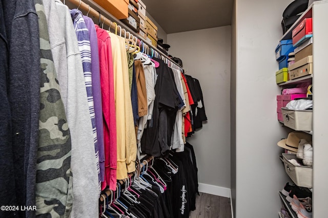 spacious closet with hardwood / wood-style flooring