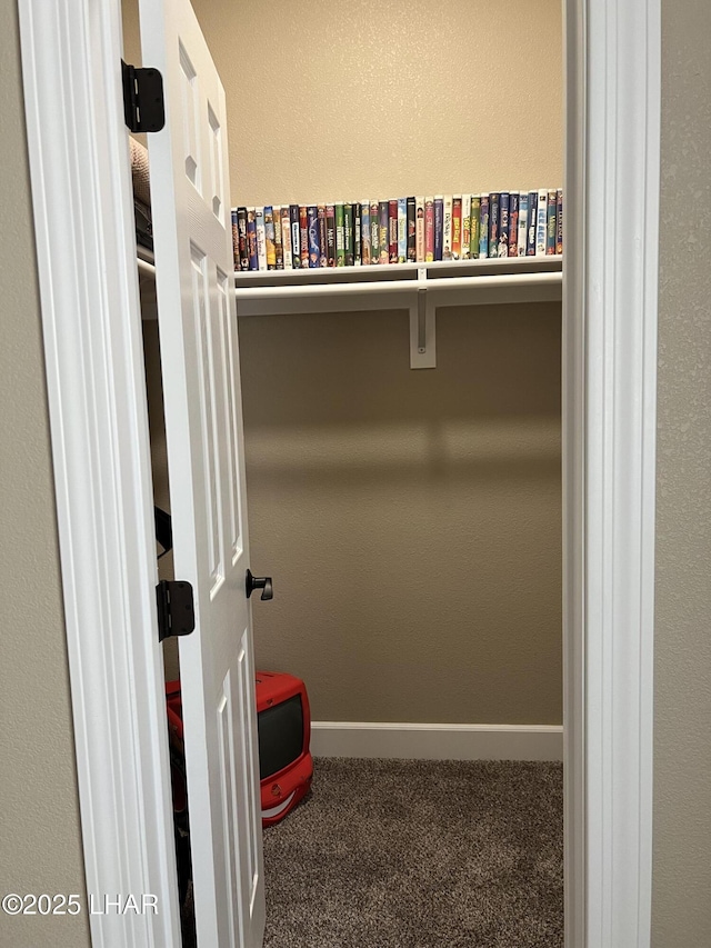 walk in closet featuring carpet floors