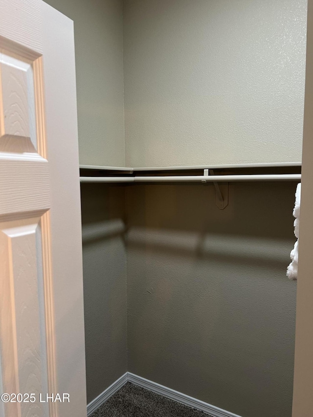 spacious closet featuring carpet floors