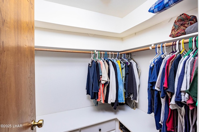 view of spacious closet