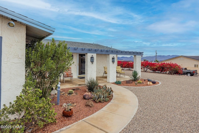 view of front facade with stucco siding, a pergola, and a patio