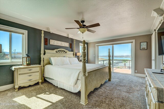 1409 Electra Bay, Lake Havasu City, AZ 86404 - photo 38