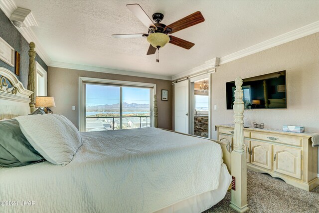 1409 Electra Bay, Lake Havasu City, AZ 86404 - photo 39