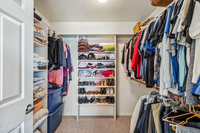 spacious closet featuring light carpet