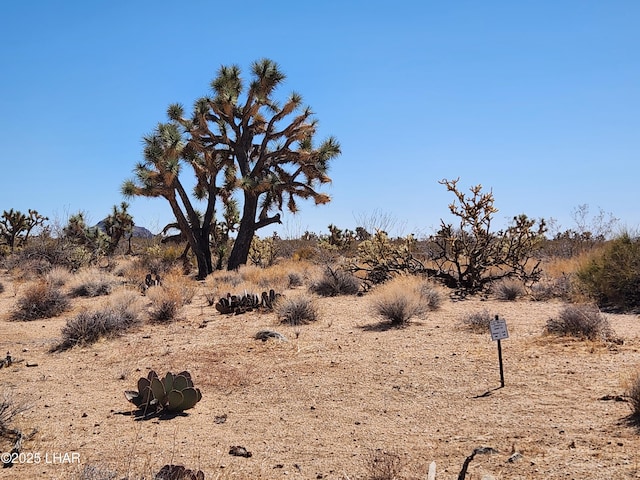 LOT207 E Mary Dr, Yucca, AZ 86438 - photo 2