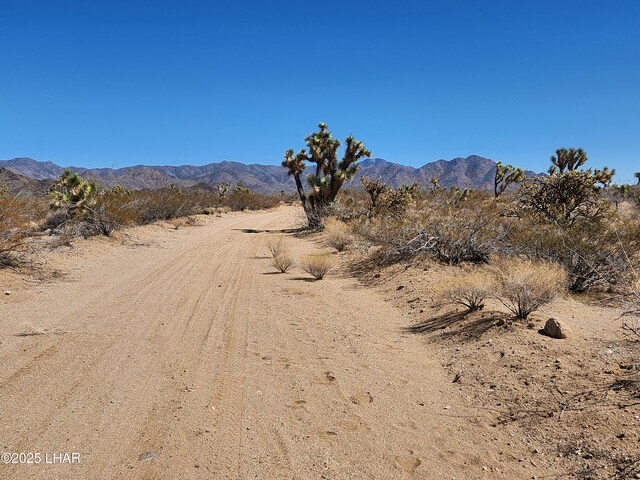 LOT207 E Mary Dr, Yucca, AZ 86438 - photo 9