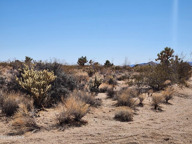 LOT207 E Mary Dr, Yucca, AZ 86438 - photo 3