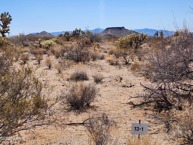 LOT207 E Mary Dr, Yucca, AZ 86438 - photo 1