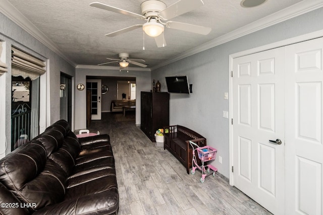 living room featuring ornamental molding, light hardwood / wood-style flooring, and a textured ceiling