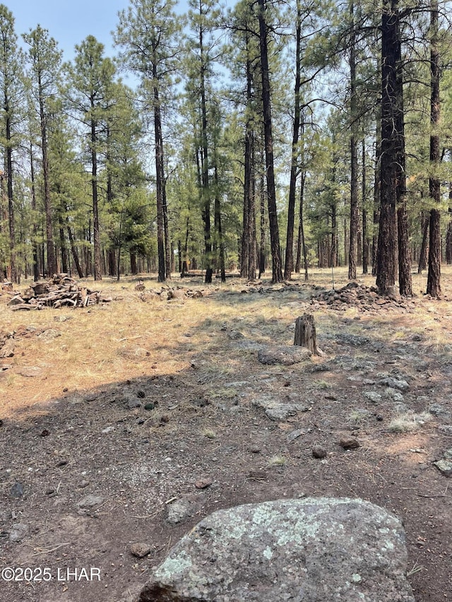 7681 E Robin Hood Rd, Williams, AZ 86046 - view of tree filled area