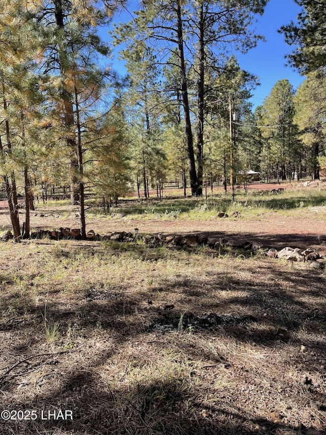 7681 E Robin Hood Rd, Williams, AZ 86046 - view of nature