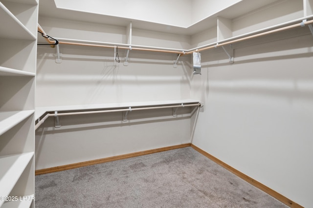 2620 Via Palma, Lake Havasu City, AZ 86406 - spacious closet featuring carpet