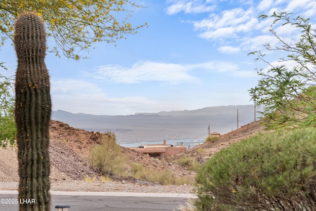 2051 Circula De Hacienda, Lake Havasu City, AZ 86406 - photo 93