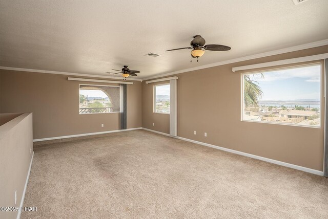 2311 Rainbow Ave, Lake Havasu City, AZ 86403 - photo 13