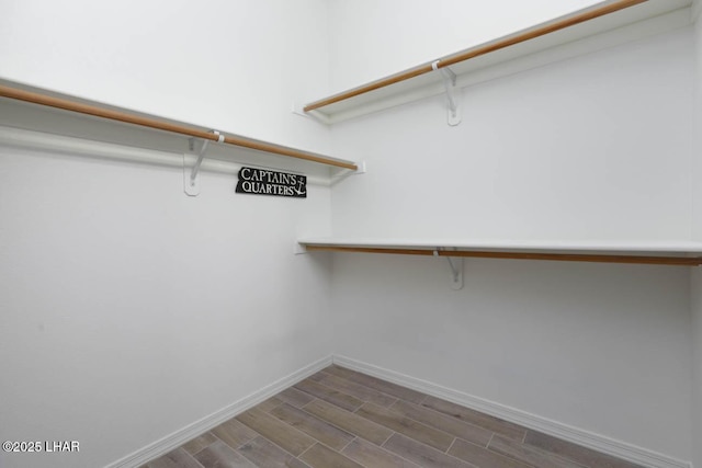 walk in closet with dark hardwood / wood-style floors