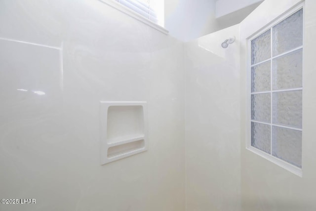 interior details featuring walk in shower