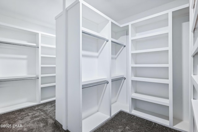 4801 N Diana Ave, Lake Havasu City, AZ 86404 - spacious closet with dark carpet