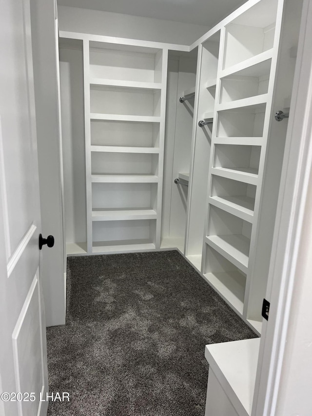 spacious closet with carpet flooring