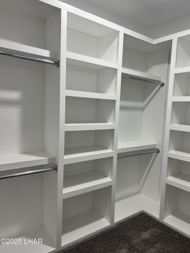 spacious closet with carpet
