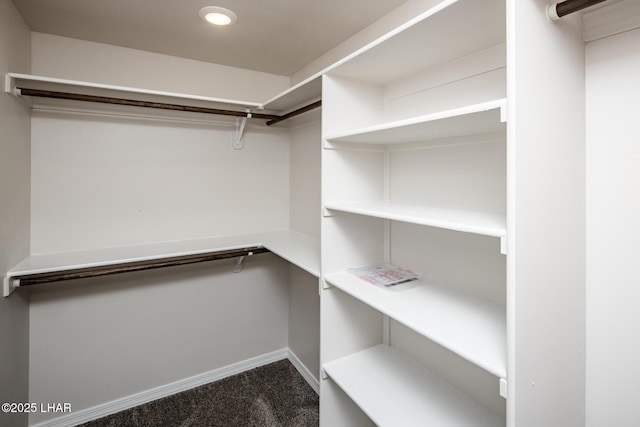 spacious closet featuring carpet floors