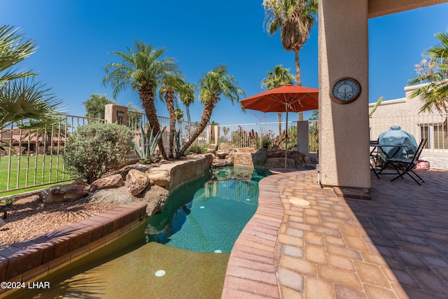 view of pool with a patio area