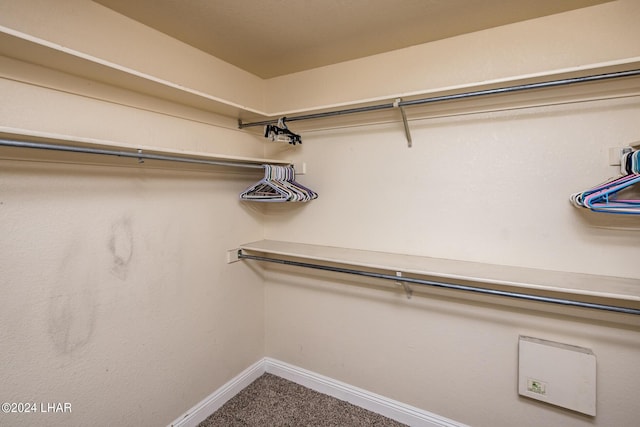 spacious closet featuring carpet floors