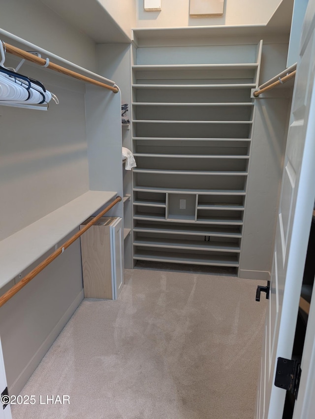 2008 Martinique Dr, Lake Havasu City, AZ 86406 - walk in closet with carpet flooring and radiator