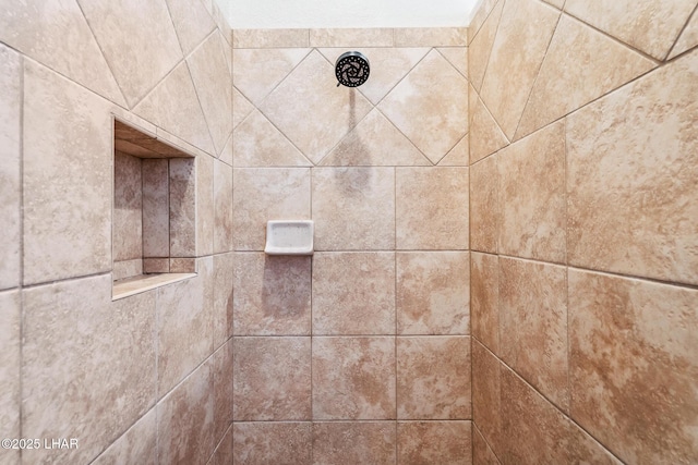 details with tiled shower