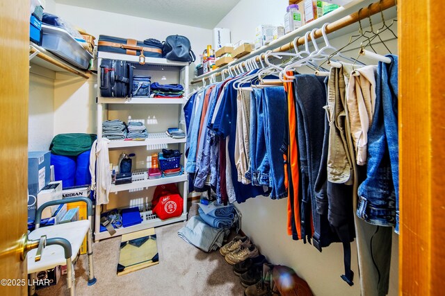 walk in closet with carpet floors