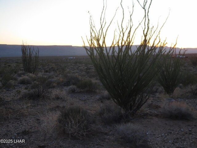 00 Arlington Rd, Yucca, AZ 86438 - photo 8