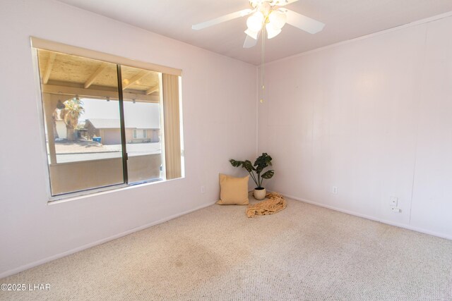 825 Manor Dr, Lake Havasu City, AZ 86403 - photo 13