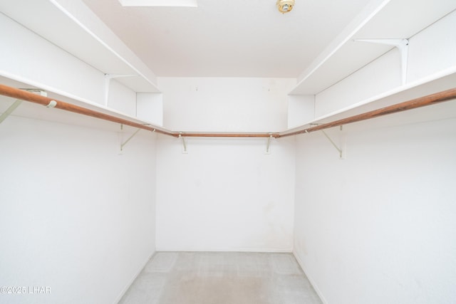 spacious closet with light colored carpet