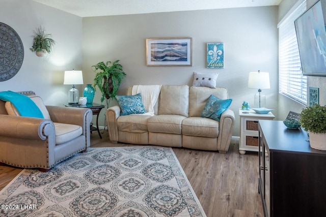 living room with light hardwood / wood-style flooring