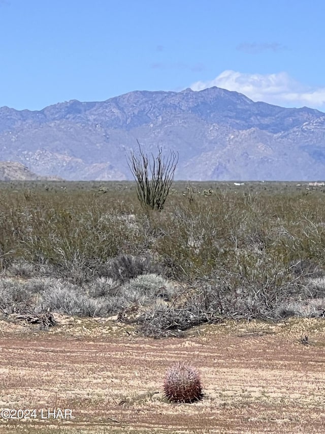 19130 S Lone Ranger Rd, Yucca, AZ 86438 - photo 8