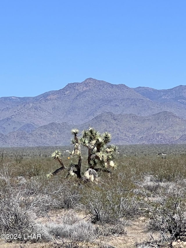 19130 S Lone Ranger Rd, Yucca, AZ 86438 - photo 7