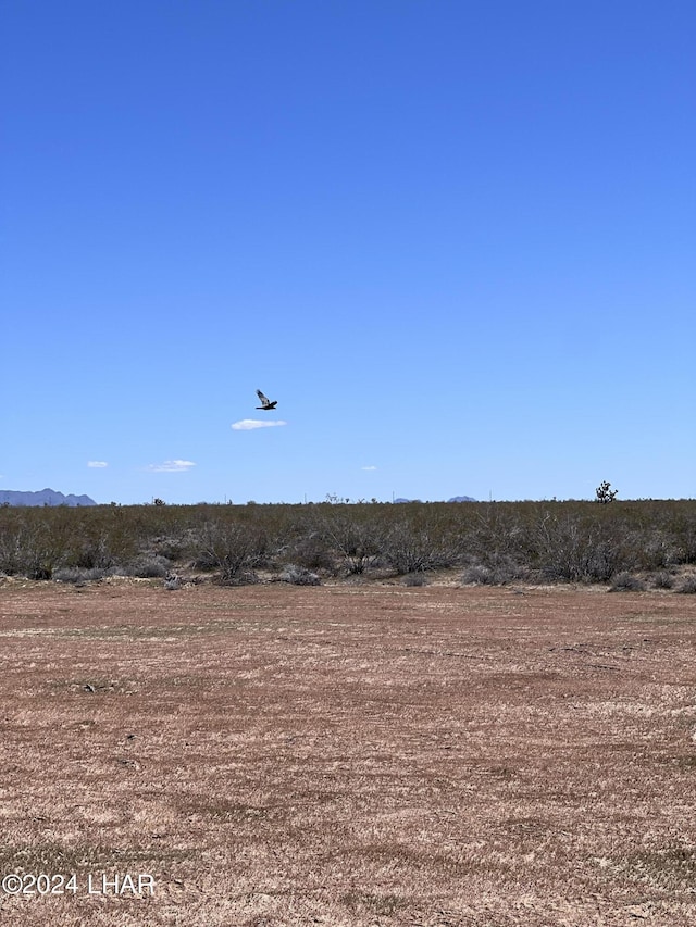 19130 S Lone Ranger Rd, Yucca, AZ 86438 - photo 4