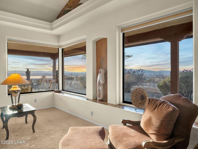 sitting room featuring vaulted ceiling and carpet floors