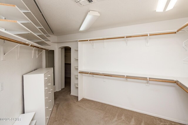 spacious closet with light colored carpet