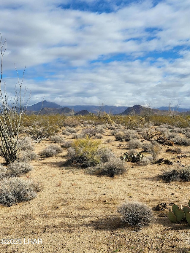 00 S Billy The Kid Rd, Yucca AZ, 86438 land for sale