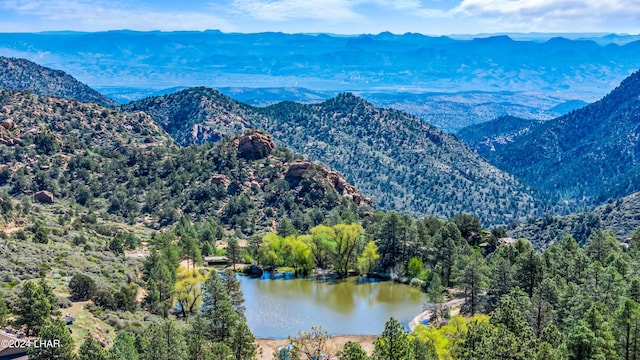 view of mountain feature featuring a water view