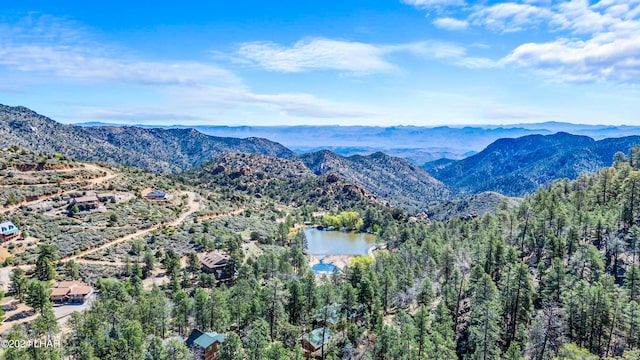 property view of mountains with a water view