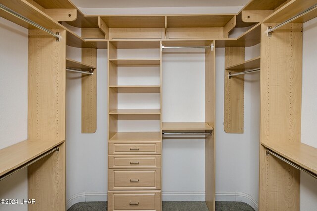 view of walk in closet