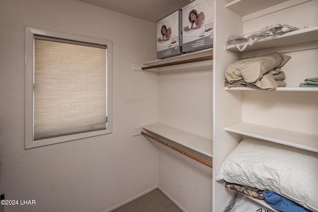spacious closet with carpet flooring